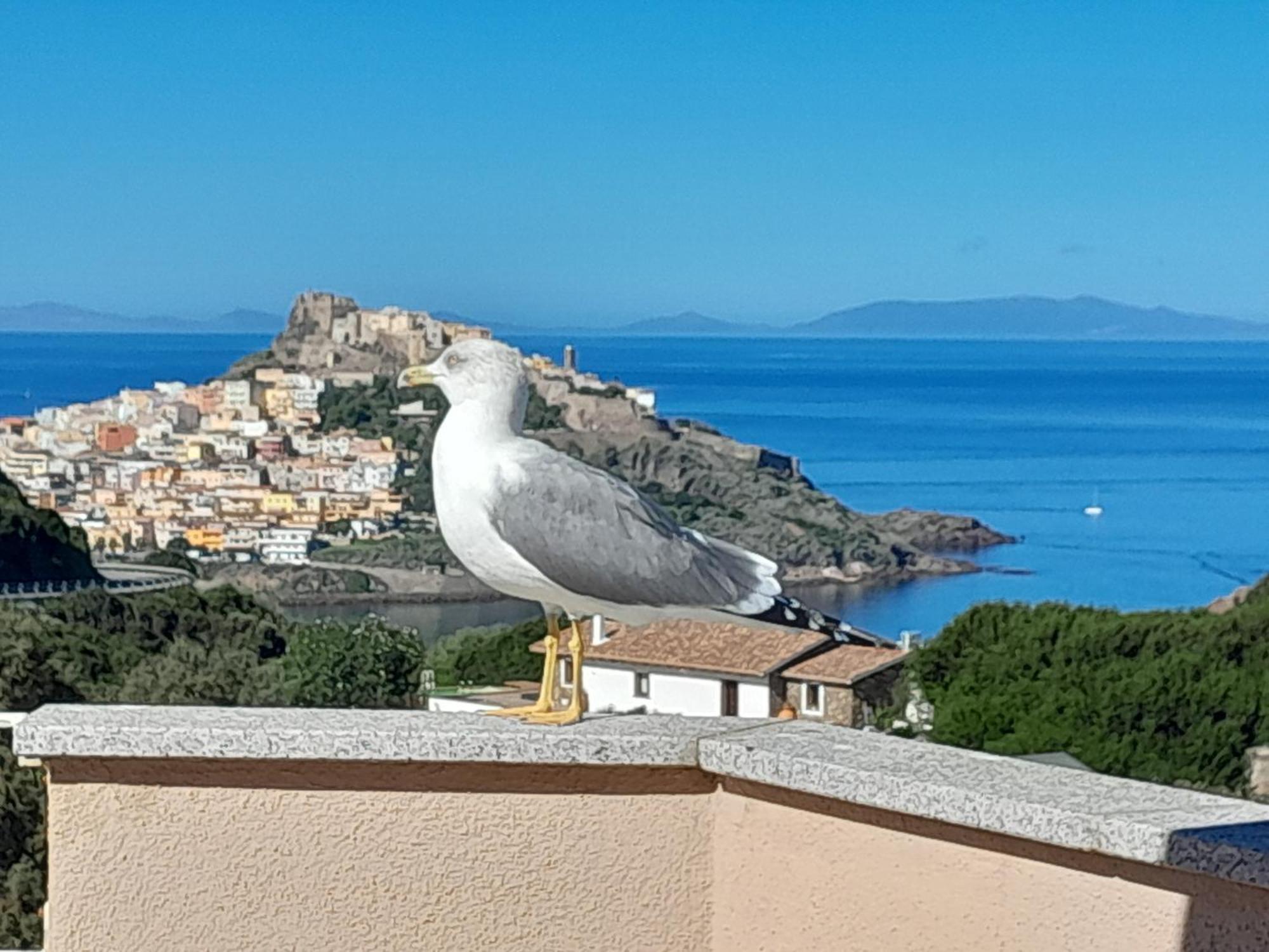 Apartmán Bella Vista Castelsardo Exteriér fotografie